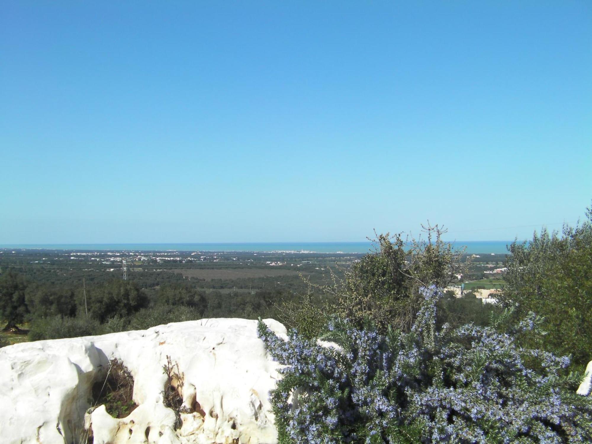 Agriturismo Masseria Spetterrata Cisternino Zewnętrze zdjęcie