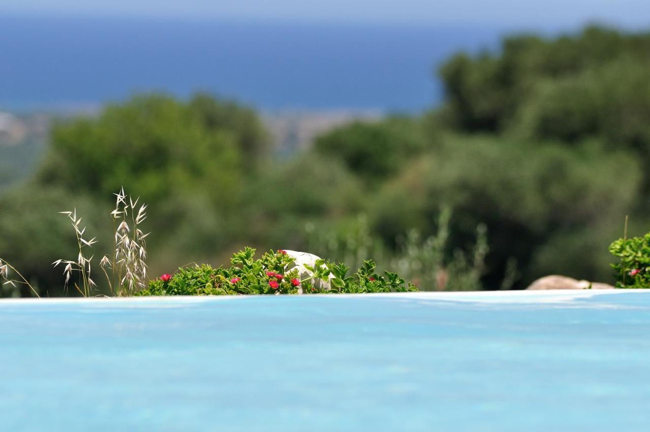 Agriturismo Masseria Spetterrata Cisternino Zewnętrze zdjęcie