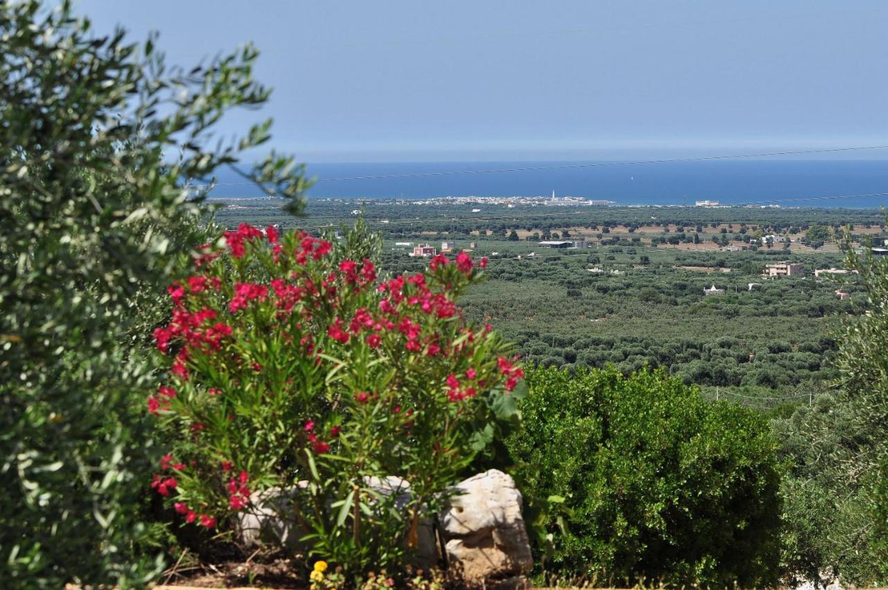 Agriturismo Masseria Spetterrata Cisternino Zewnętrze zdjęcie